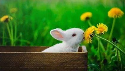 开云体育官方-76人力克热火，球队状态升温继续领跑