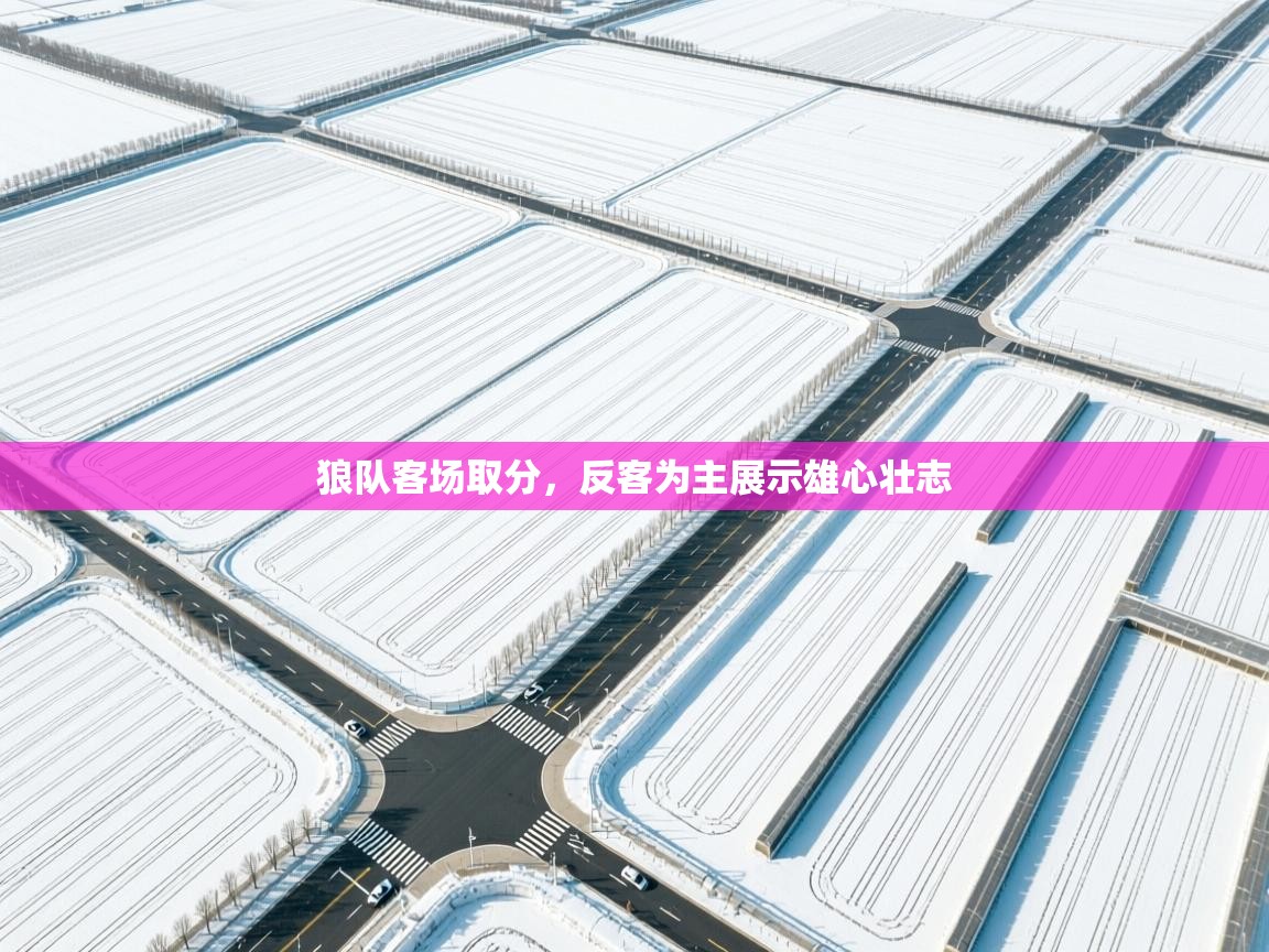 狼队客场取分，反客为主展示雄心壮志  第2张